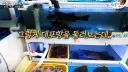 유튜브 촬영을 막아버린 대포항 상인