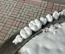 치대생이 열심히 익힌 지식을 활용하는 방법