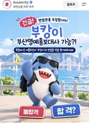 발빠른 부산시...insta