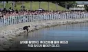상어 나오는 북항친수공원 오늘 근황