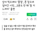 상어 찍으려다 '풍덩', 폰 찾으러 넘어간 시민…5분도 안 돼 '등 지느러미' 출현
