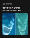상상 이상으로 아래서 보면 무섭다는 상어 모습 (펌)