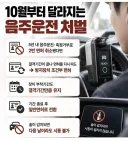 음주운전 방지장치 실효성이 있을까요?