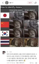 아시아 밈에 한중일 외의 나라가 포함돼있다면