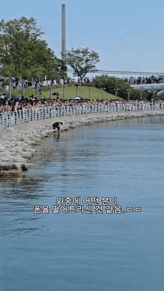 상어 찍으려다 '풍덩', 폰 찾으러 넘어간 시민…5분도 안 돼 '등 지느러미' 출현