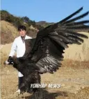 한반도 생태계가 극한이었다는 증거