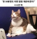 30분 낮잠.jpg
