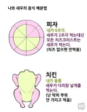 웹툰)진정한 사랑