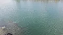 추석 연휴 첫날 부산 상어 근황.shark