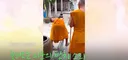 의문의 울음 소리에 사찰 바닥 직접 부순 태국