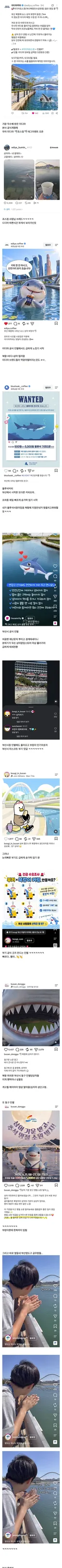 모두가 숟가락 얹는중인 부산 상어 근황ㅋㅋ.jpg