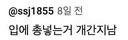 입에 총까지 겨눈다는 스디파 근황