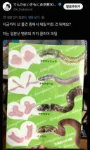 어느 일본인이 산 가장 미친 물건