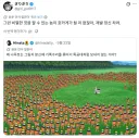 나루토) ???: 왜 분신으로 자폭 전술을 안 쓰는 거임?