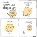 추석 변기 앉을때 꿀팁