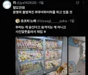 유게를 떠난 유행어
