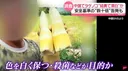 대한민국은 배추 일본은 죽순 jpg