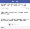 초등교사 마인드..ㅎㄷ.jpg