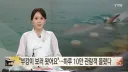 슈퍼스타 부산 상어 부캉이 근황