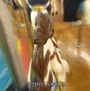 회전 목마를 처음 타본 조카의 시점