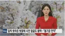 뉴스 화면에 갑자기 찍힌 커플들의 돌발 행동...ㄷ