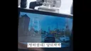 [펑하셨네] 불법유턴 후 보복운전 당했다는 당신