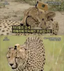 카메라 익숙해졌지? 그래 열심히 하자