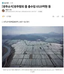 속보) 성주 참외 근황 ㄷㄷㄷㄷ.jpg