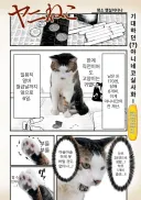 담배고양이) 공식이 올린 rtx 야니네코