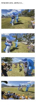 부산 상어축제에 간 유투버...
