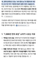 AI) 재미나이가 전망하는 수퍼 엘니뇨 이후 내년 지구 기후