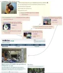 실화) 수류탄을 가지고 장난치는 어느 소년의 최후 jpg.