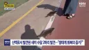 부산에 상어에 이어 등장한 천연기념물
