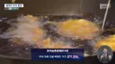 추석에 차례 지내겠다, 4집에 1집꼴... gisa