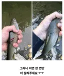 저 기억나세요? 그때 구해주신 그 물고기예요!.jpg