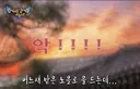 걸그룹이 예능 찍다가 살모사 뱀 만날 확률은 ?