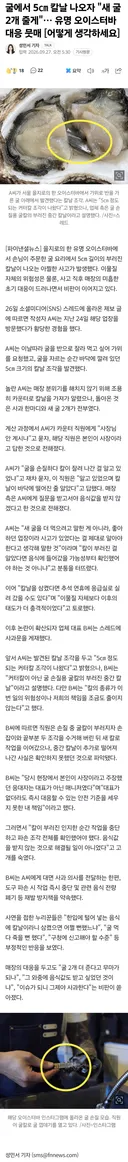 굴에서 5㎝ 칼날 나오자 새 굴 2개 줄게