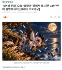 KBO] 11연패 한화, 오늘 ‘북항이’ 앞에서 또 지면 31년 만에 불명예 타이