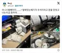경쟁업체 휴업에 빡친 직원