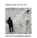 대부분 속는 착시 사진