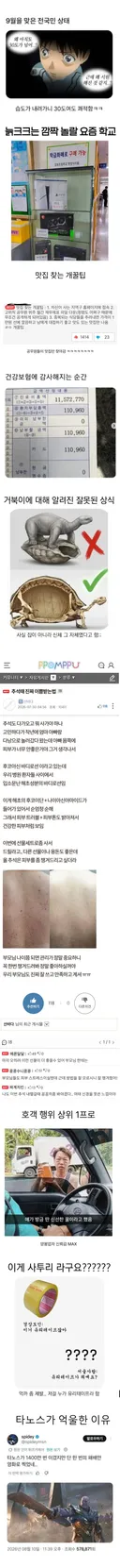 9월을 맞은 전국민 상태