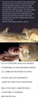 암소년 ㅈ탱이 빨았던 문신남