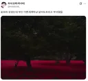 "꽃 보러 갔는데 흐려서 뭔 이면세계인줄 알았음"