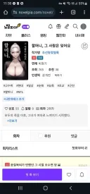 19금 웹 소설