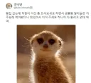 빵집 직원의 티배깅