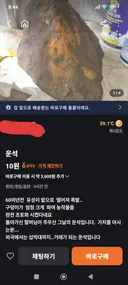 당근에 운석 올라옴