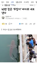 40만 찾은 ‘부캉이’ 바다로 내보낸다