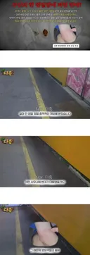 혐주의 부산의 한 찜질방에 퍼진 빈대