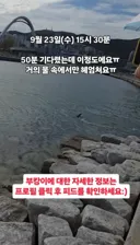 부산 부캉이 별거 없다고 함