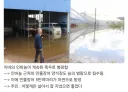 양식 민물장어 5만 마리가 자연산으로 둔갑되는 과정